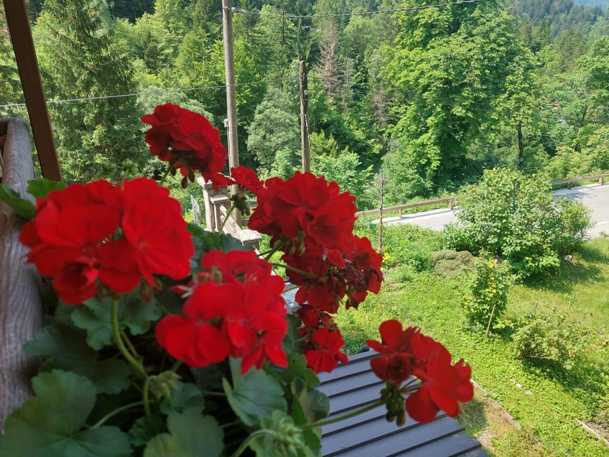 Gostisce Andrejc Hotel Soča Kültér fotó